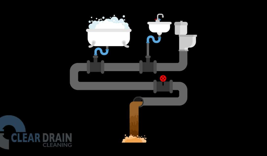 Graphic of a main line sewer system showing how water flows from tubs, sinks and toilets through a main sewer line