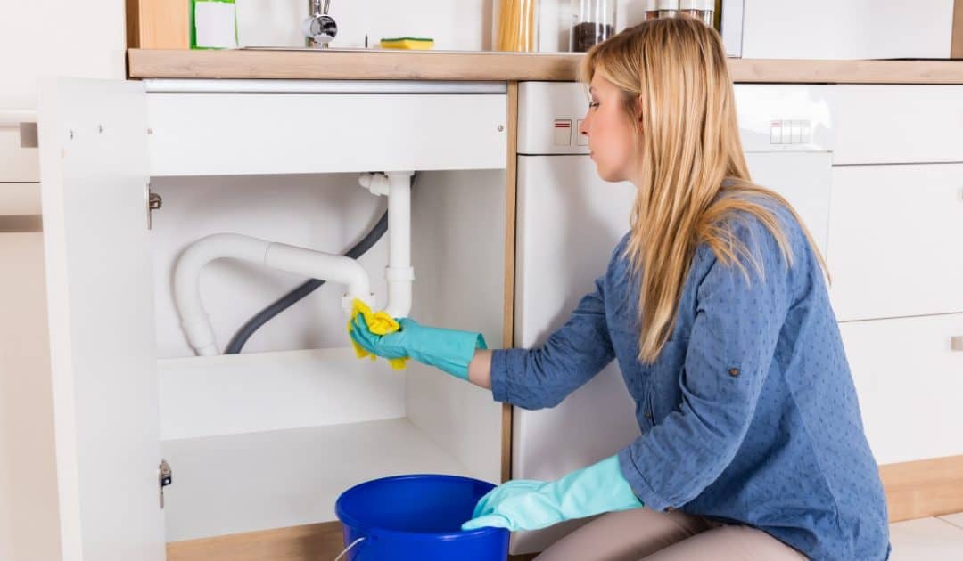 Image of woman cleaning under sink